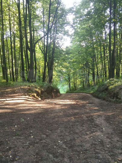 Дача 62 м² на участке 5 сот.