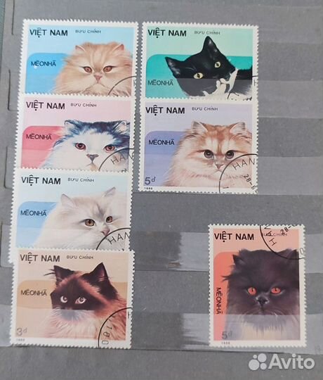 Почтовые Марки, с кошками, марки коты