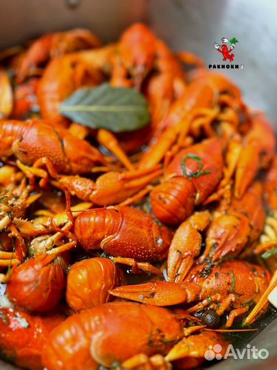 Раки вареные и живые. Свежий улов