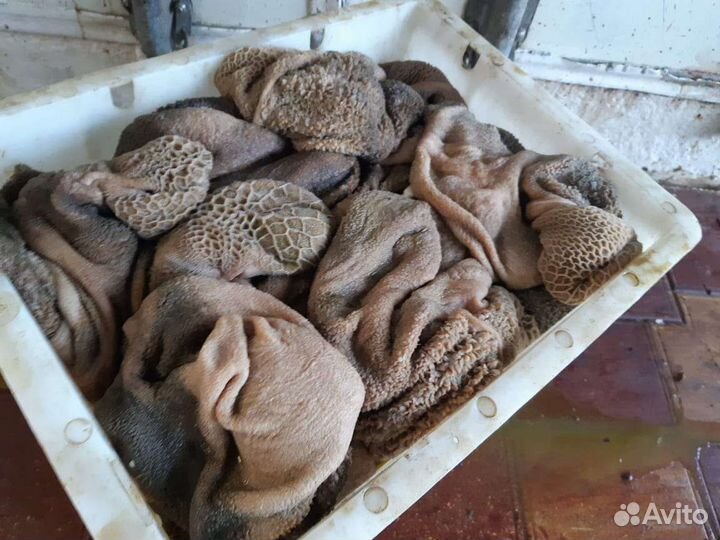 Рубец,требуха баранья