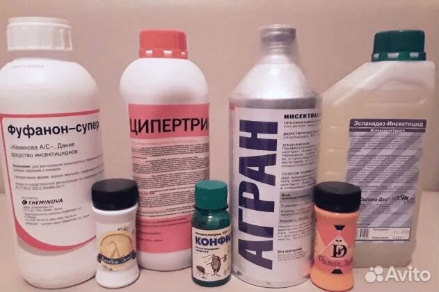 Средства Препараты Химия от клопов тараканов