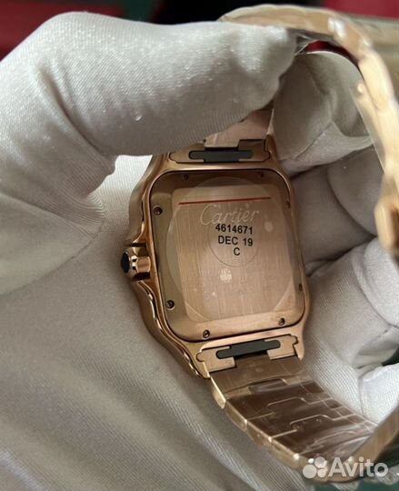 Часы Cartier Santos wgsa0018 Santos de Cartier Lar