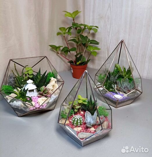 Флорариум Капля