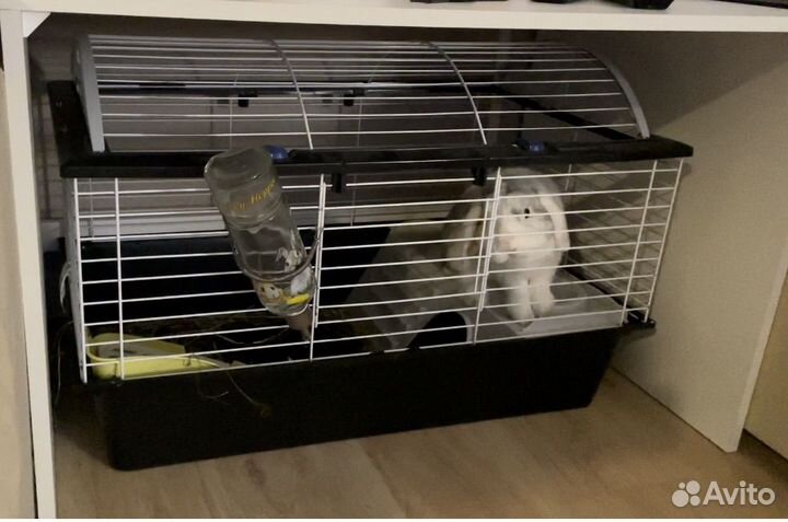 Клетка для кроликов и морских свинок