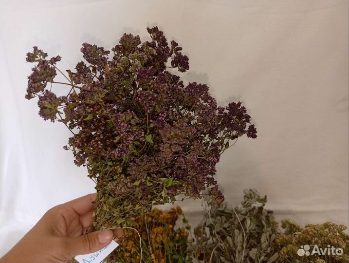 Душица, мята, Зверобой, Клевер, Тысячелистник и др