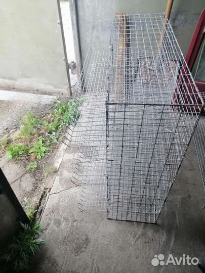 Клетки для перепелов