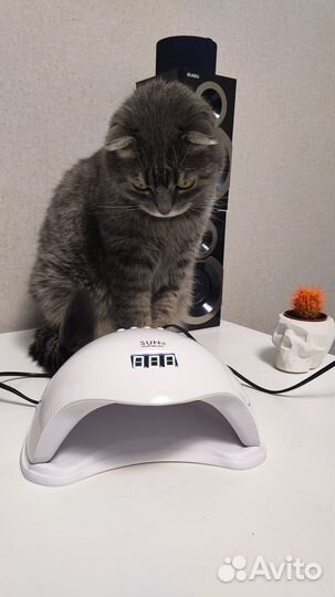 LED лампа для маникюра