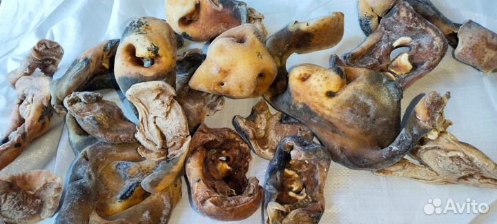 Рубец,печень, легкое для собачек