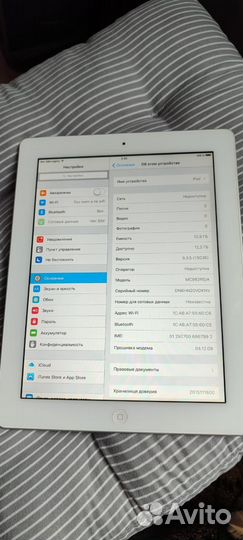iPad mini 2