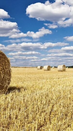 Участок 4,75 га (СНТ, ДНП)