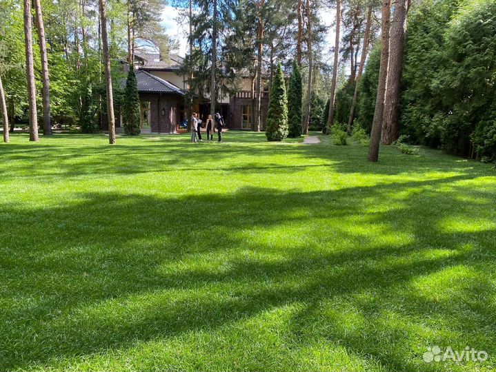 Рулонный газон от производителя под ключ