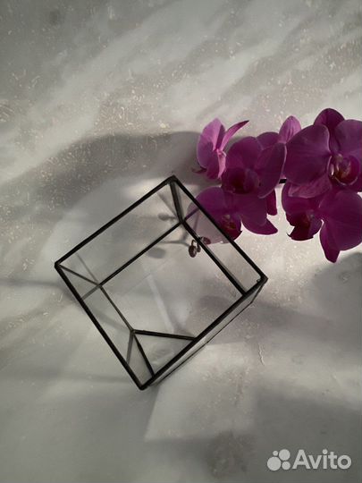 Формы, флорариум