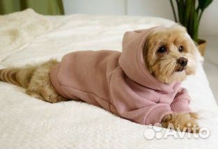 Худи для собак