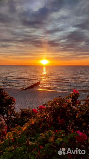 Индивидуальные экскурсии, гид, трансфер