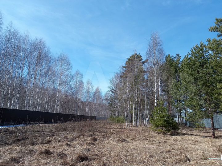 Участок 38 сот. (СНТ, ДНП)