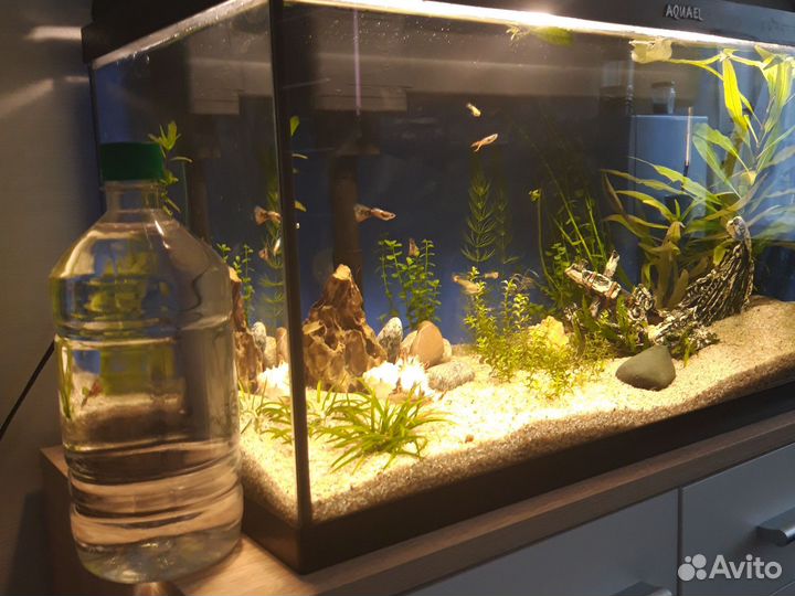 Аналог Сайдекс 1 л