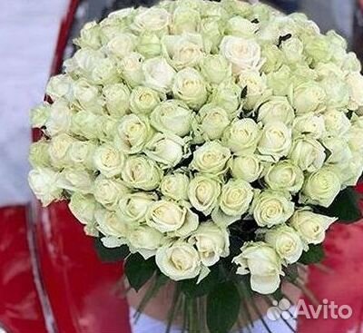 Розы Букеты Цветы Розы 31 101 151 201 Доставка
