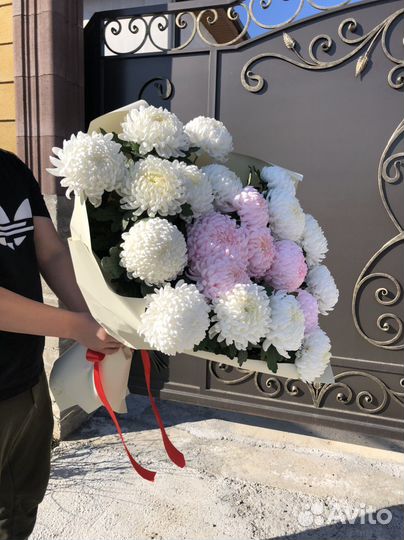 Букет из Хризантемы Доставка цветов