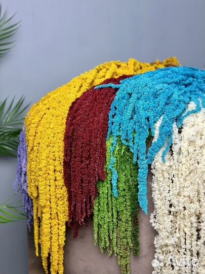 Амарант стабилизированный