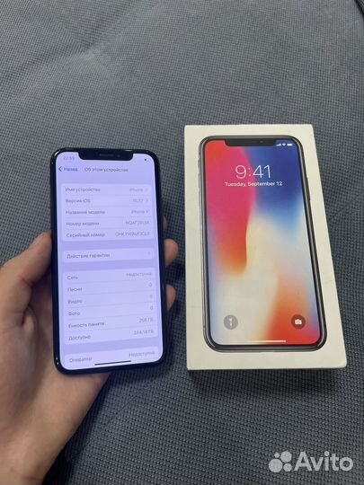 iPhone X, 256 ГБ