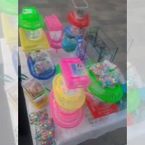 Красноухая черепаха, Алчевск