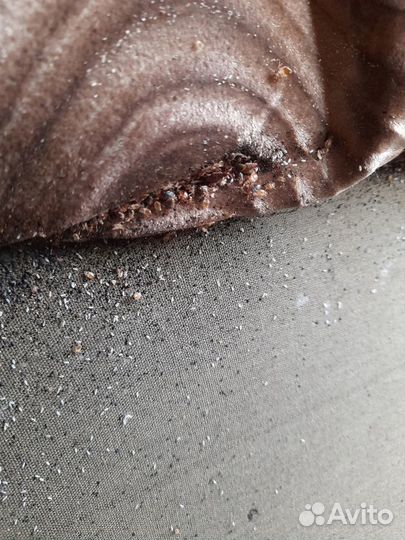 Уничтожение тараканов, травля клопов, дезинфекция