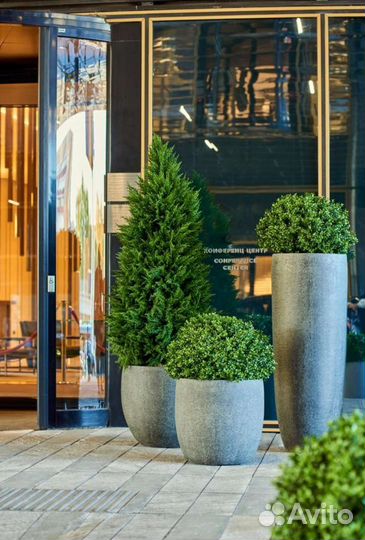 Искусственные деревья пальмы фикус бамбук терраса