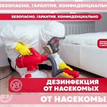 Дезинфекция. Уничтожение тараканов, клопов, мышей