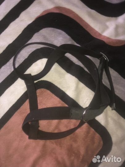 Шлейка для собаки