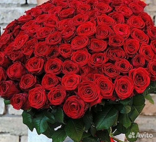 Высокие Розы с Доставкой