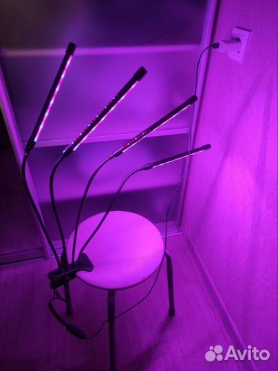 Фитолампа для растений полный спектр