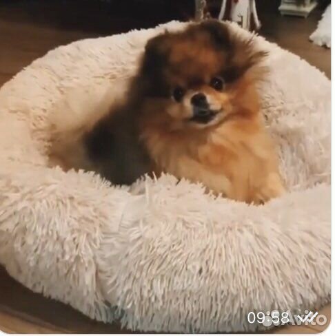 Лежанка для животных