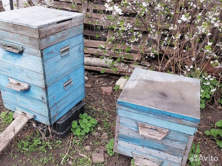 Улей для пчел бу