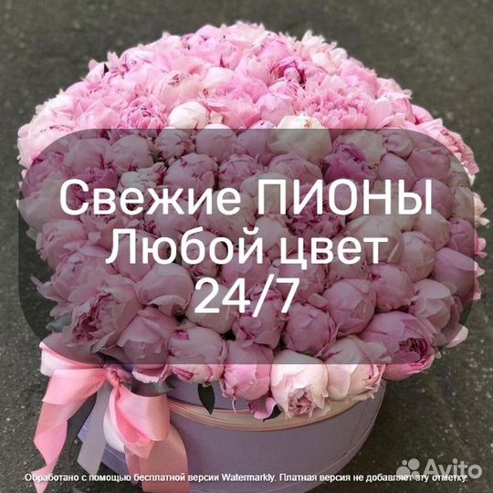 Цветы пионы Розы Москва 25 51 101 пион