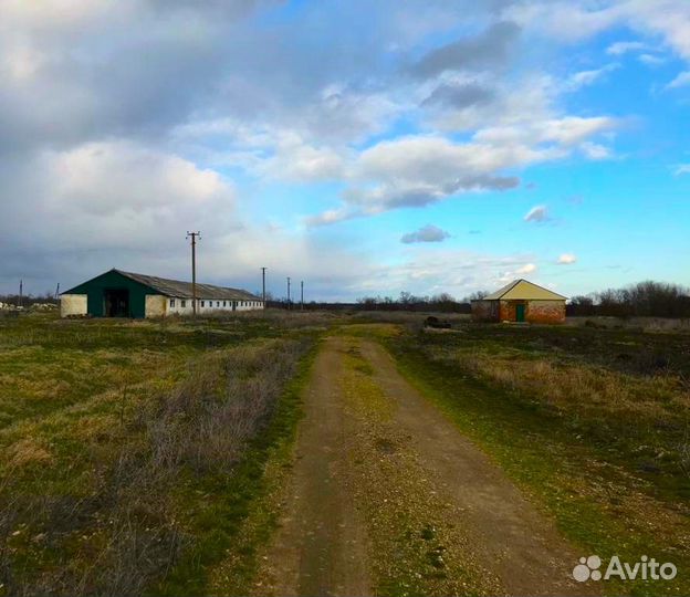 Животноводческая ферма продаю