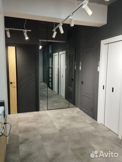 Двери межкомнатные с алюминиевой кромкой зеркало