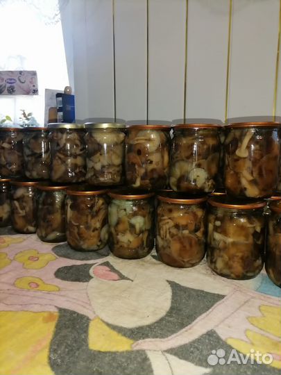 Грибы