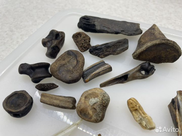 Кости животных/декор/эзотерика