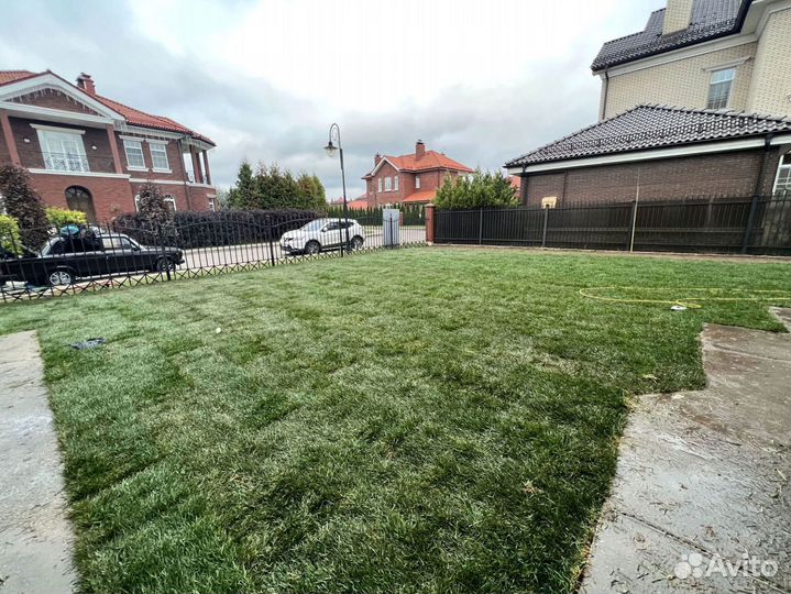 Рулонный газон. Укладка за 1 день