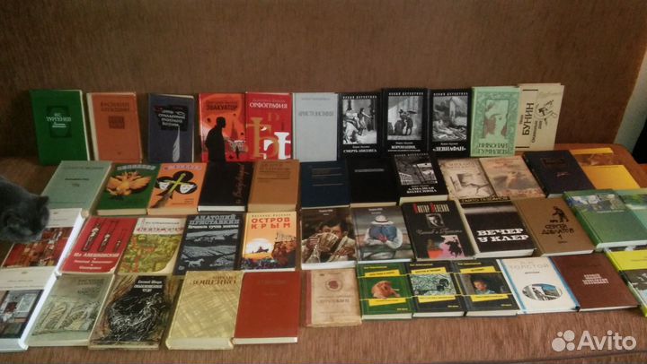 Книги русских писателей