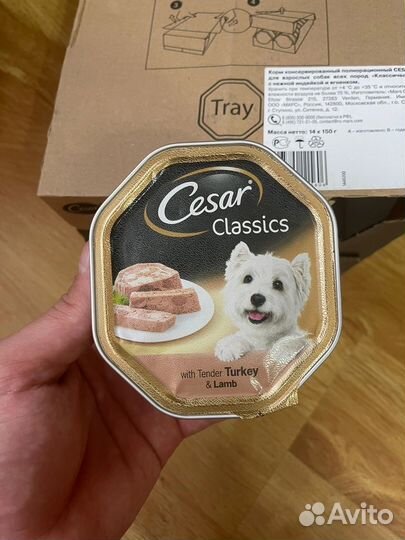 Корм для собак cesar паштет