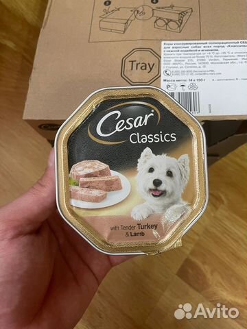 Корм для собак cesar паштет