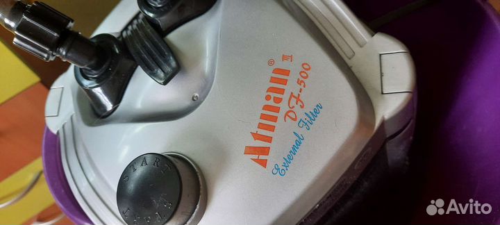 Черепашки водяные 2 шт