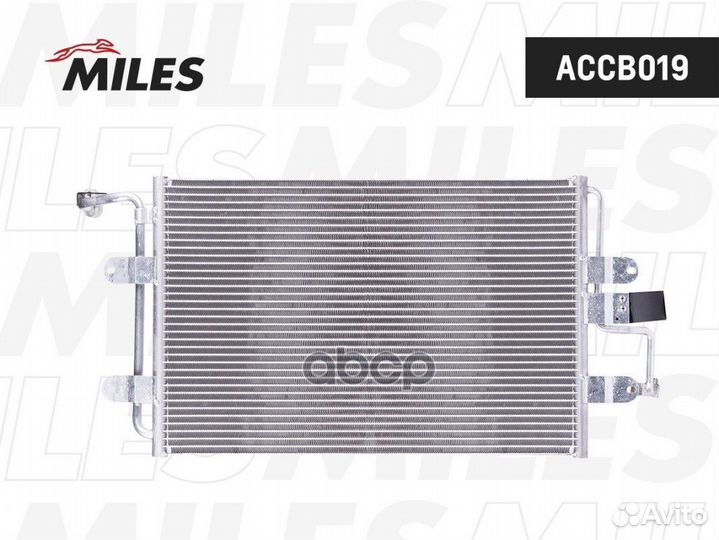 Accb019 accb019 Miles