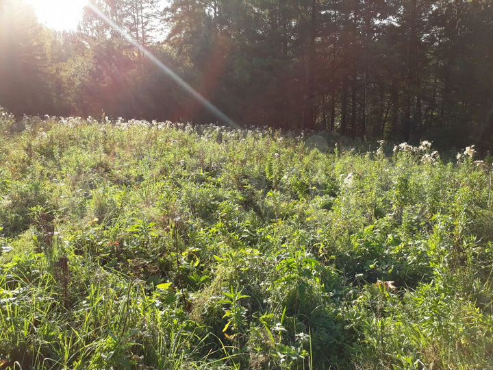 Участок 1,9 га (СНТ, ДНП)