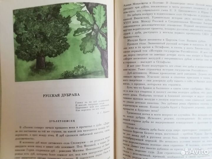 Детские книги О природе