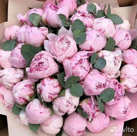 Пионы Букет пионов Доставка цветов
