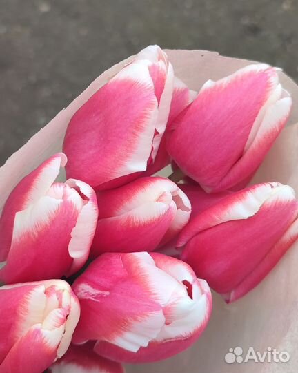 Цветы к 8 марта