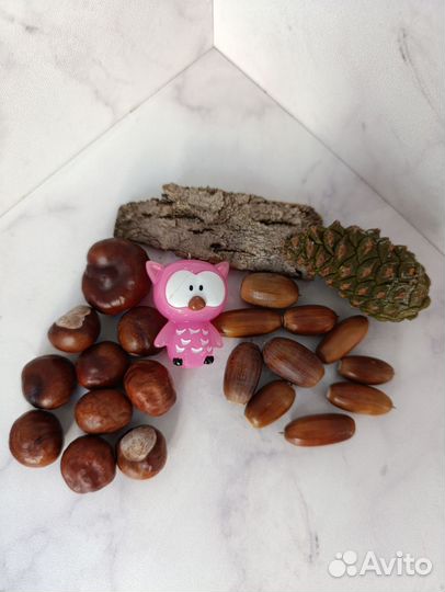 Набор природного материала