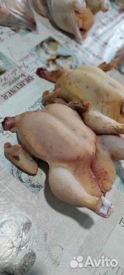 Куры бройлеры тушки мясо